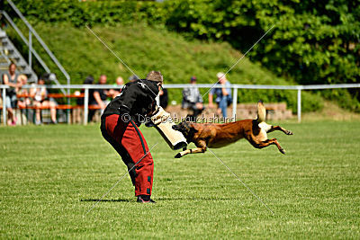 Malimaniac's Daft Punk