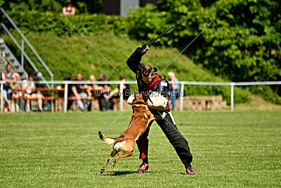 Malimaniac's Daft Punk