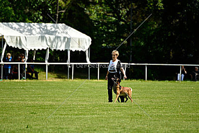 Malimaniac's Daft Punk