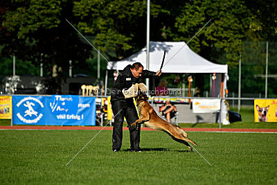 Malimaniac's Daft Punk