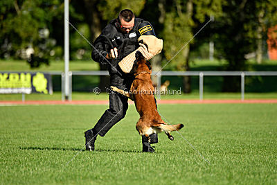 Malimaniac's Daft Punk