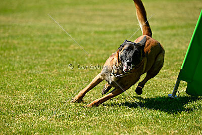 Malimaniac's Danger Zone