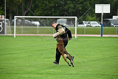 Malimaniac's Erlkönig