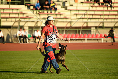 Malinger's Presto Dante