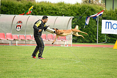 Malisko Sky is the Limit