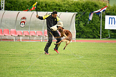 Malisko Sky is the Limit