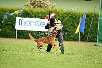 Malisko Sky is the Limit