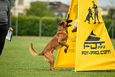 Malisko Sky is the Limit