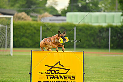 Malisko Sky is the Limit