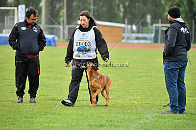 Malisko Sky is the Limit