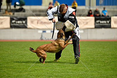 Mallekrafts J'Winnah