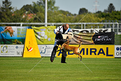 Mallekrafts J'Winnah