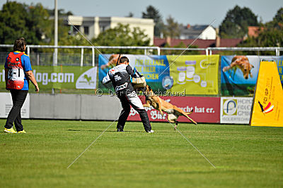 Mallekrafts J'Winnah