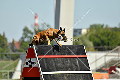 Mallekrafts J'Winnah