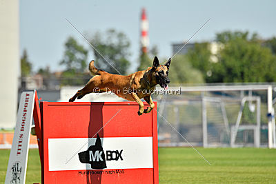 Mallekrafts J'Winnah