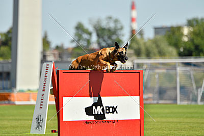 Mallekrafts J'Winnah