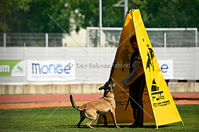Mamba Tore's Working Dogs