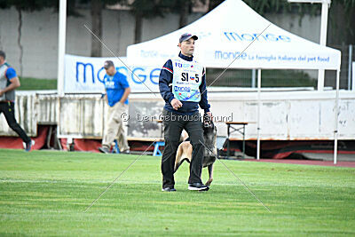 Mamba Tore's Working Dogs