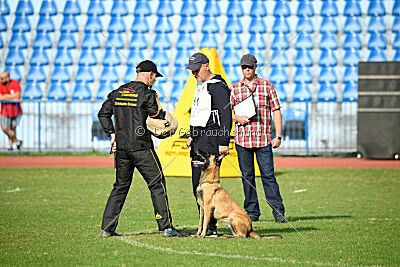 Mamba Tore's Working Dogs