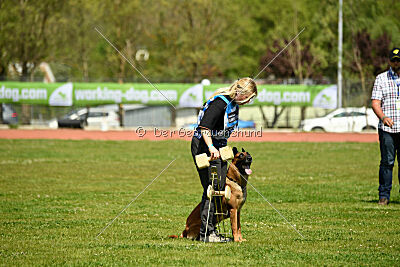 Mambo des Pas des Betes