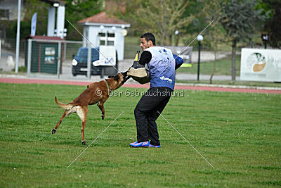 Mambo des Pas des Betes