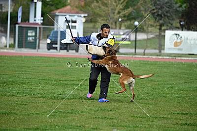 Mambo des Pas des Betes