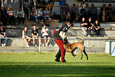 Manni vom Brunsbeker Land