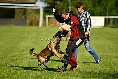 Manni vom Brunsbeker Land