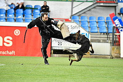 Manolo von der Kolonie