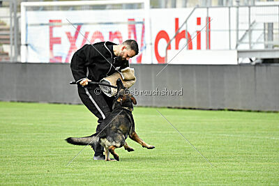 Manolo von der Kolonie