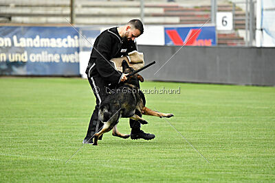 Manolo von der Kolonie