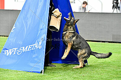 Manolo von der Kolonie