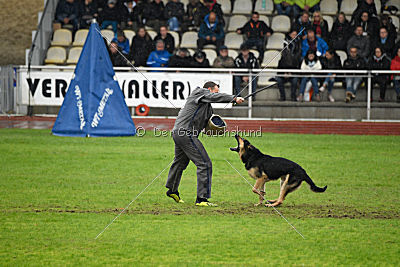 Marc vom Eichendorf