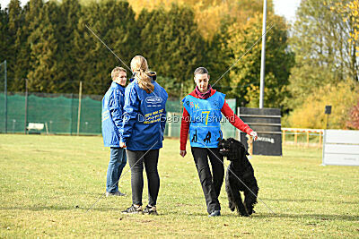 Marcus Mauritius Goldest Danubius