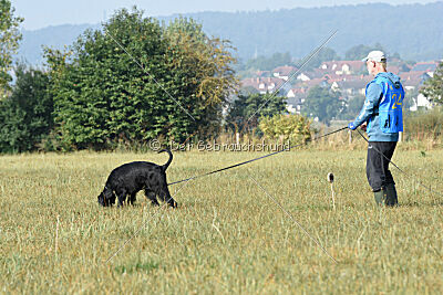 Marilyn Monroe von der Waffenstadt Suhl