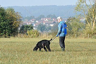 Marilyn Monroe von der Waffenstadt Suhl