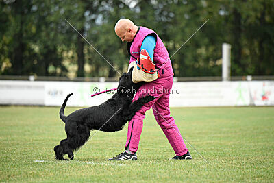 Marilyn Monroe von der Waffenstadt Suhl