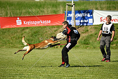 Marou vom Roten Juwel