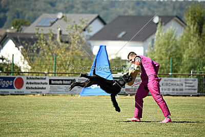 Marouk vom Hatzbachtal