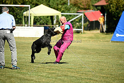 Marouk vom Hatzbachtal