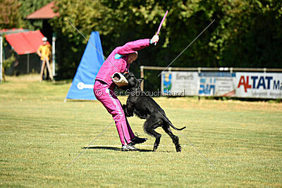 Marouk vom Hatzbachtal