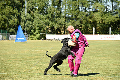Marouk vom Hatzbachtal
