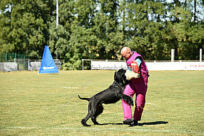 Marouk vom Hatzbachtal