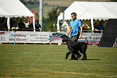 Marouk vom Hatzbachtal