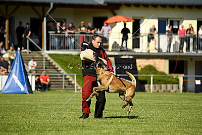 Marron du Mont St.Aubert