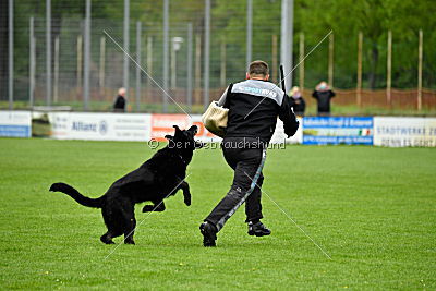 Matcho vom Mochauer Land