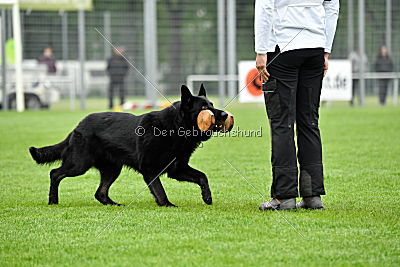 Matcho vom Mochauer Land