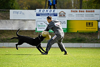 Matcho vom Mochauer Land