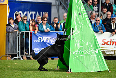 Matcho vom Mochauer Land