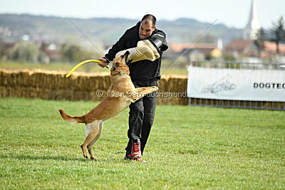 Matrix de Solare's Venezuela